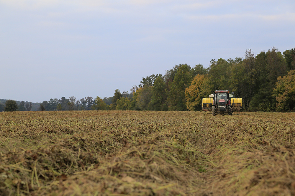 Tractor working a field at the edge of the woods