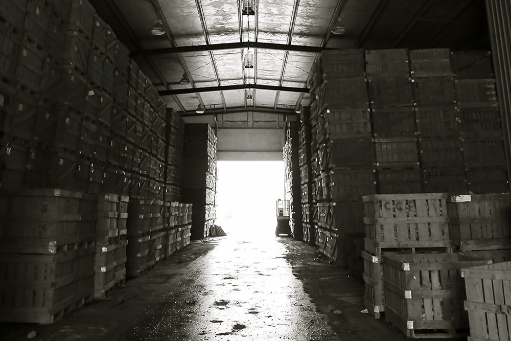 Light pouring through the open door of the storage building between stacked bins