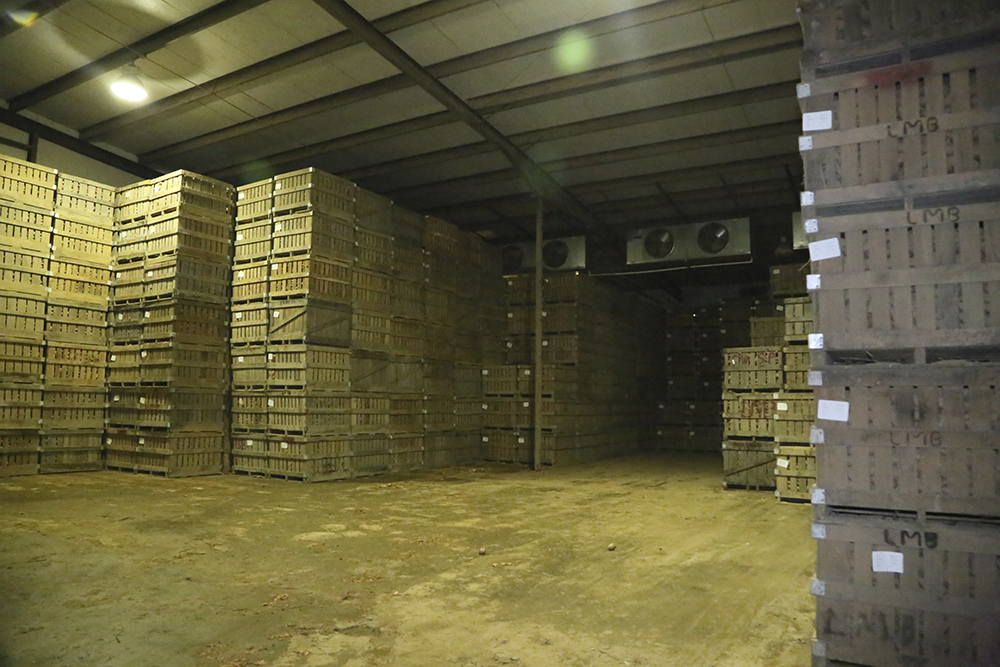 Stacked wooden storage bins inside the climate-controlled storage room